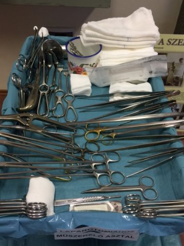 „Nyitnikék” - Empátia az ápolásban szakmai kiállítás 09